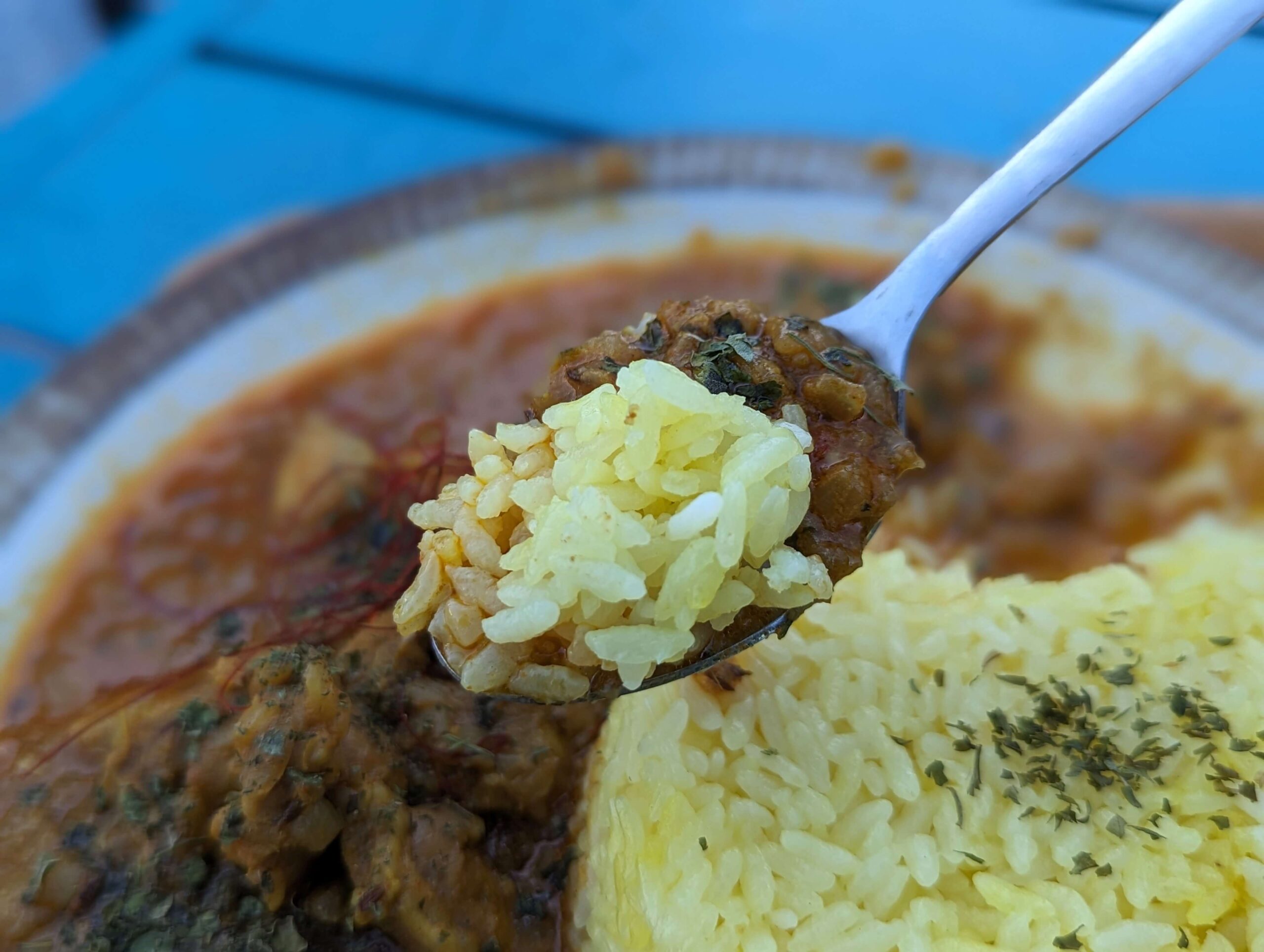 池袋ホクトカレーのスパイシーチキンカレー (7)